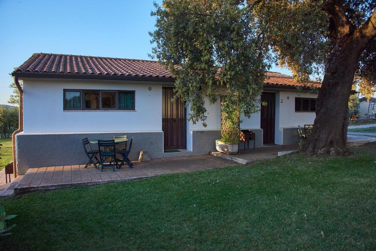Agriturismo Tesorino Massa Marittima Kültér fotó