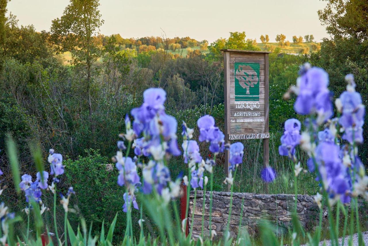 Agriturismo Tesorino Massa Marittima Kültér fotó