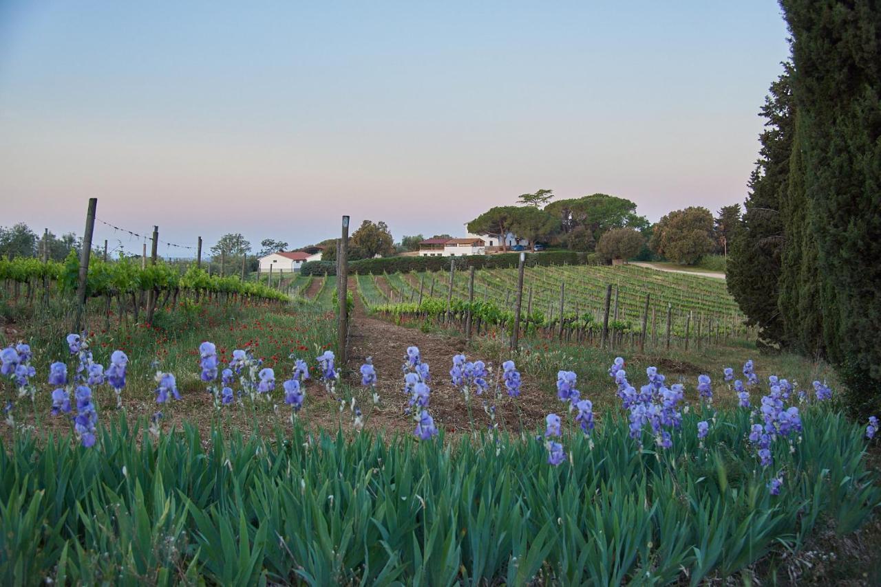 Agriturismo Tesorino Massa Marittima Kültér fotó