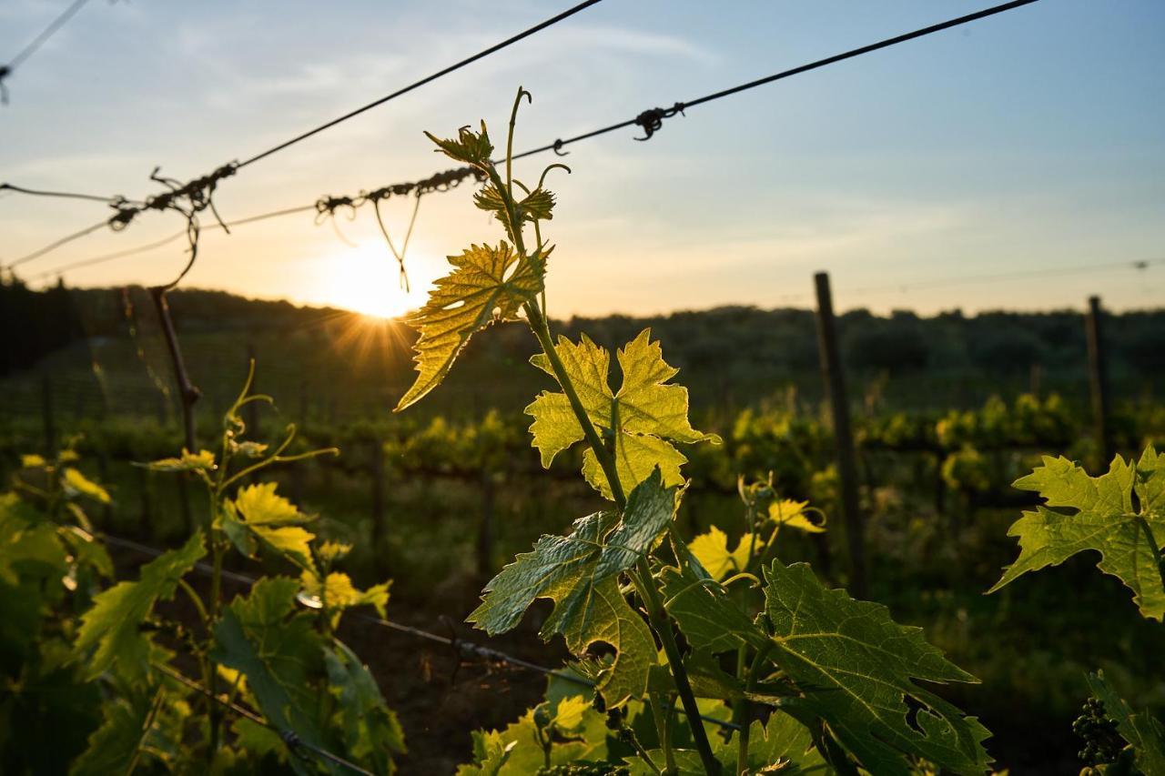 Agriturismo Tesorino Massa Marittima Kültér fotó