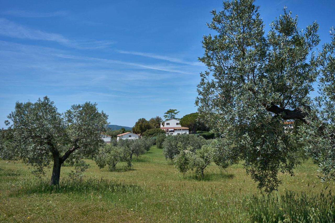 Agriturismo Tesorino Massa Marittima Kültér fotó