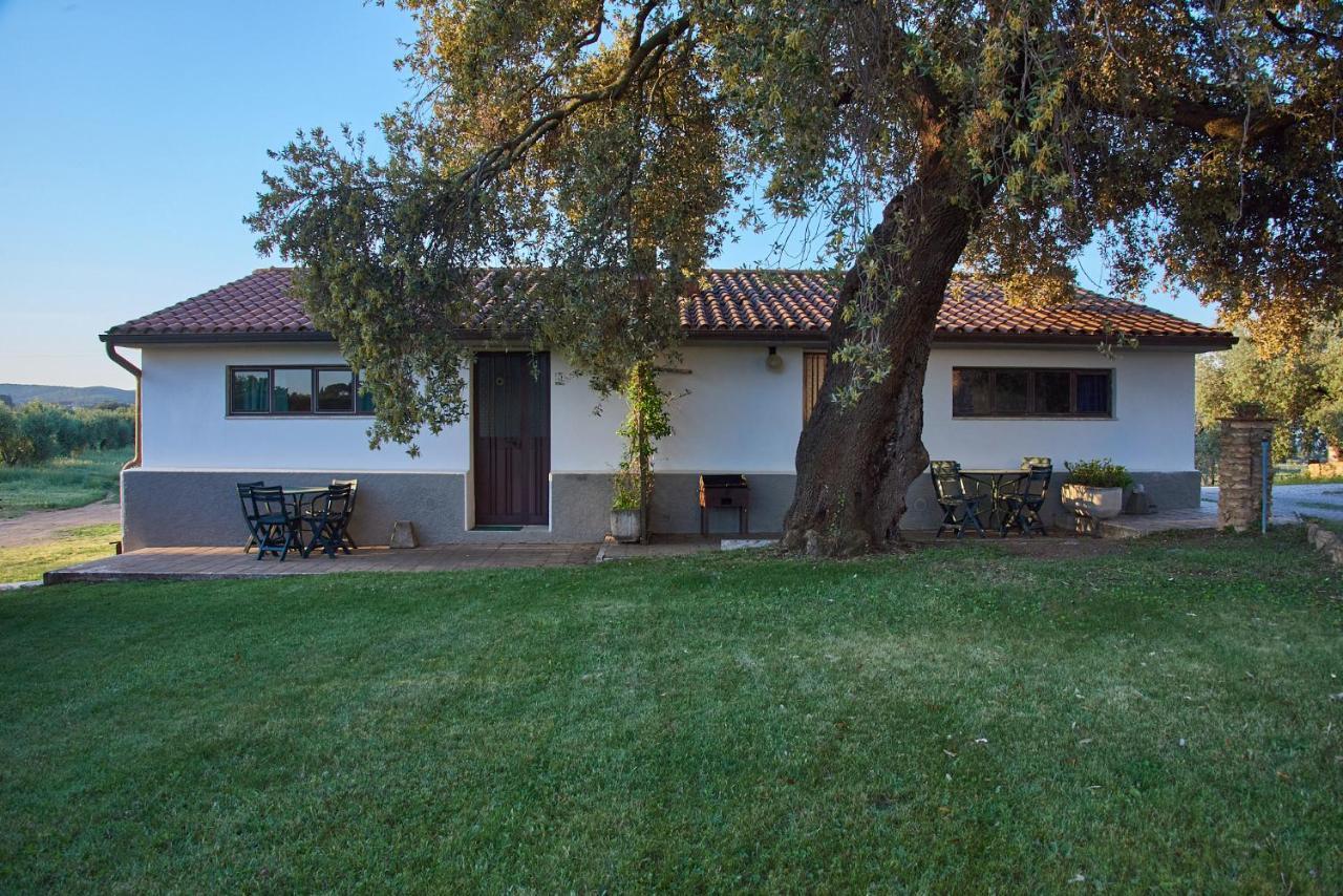 Agriturismo Tesorino Massa Marittima Kültér fotó